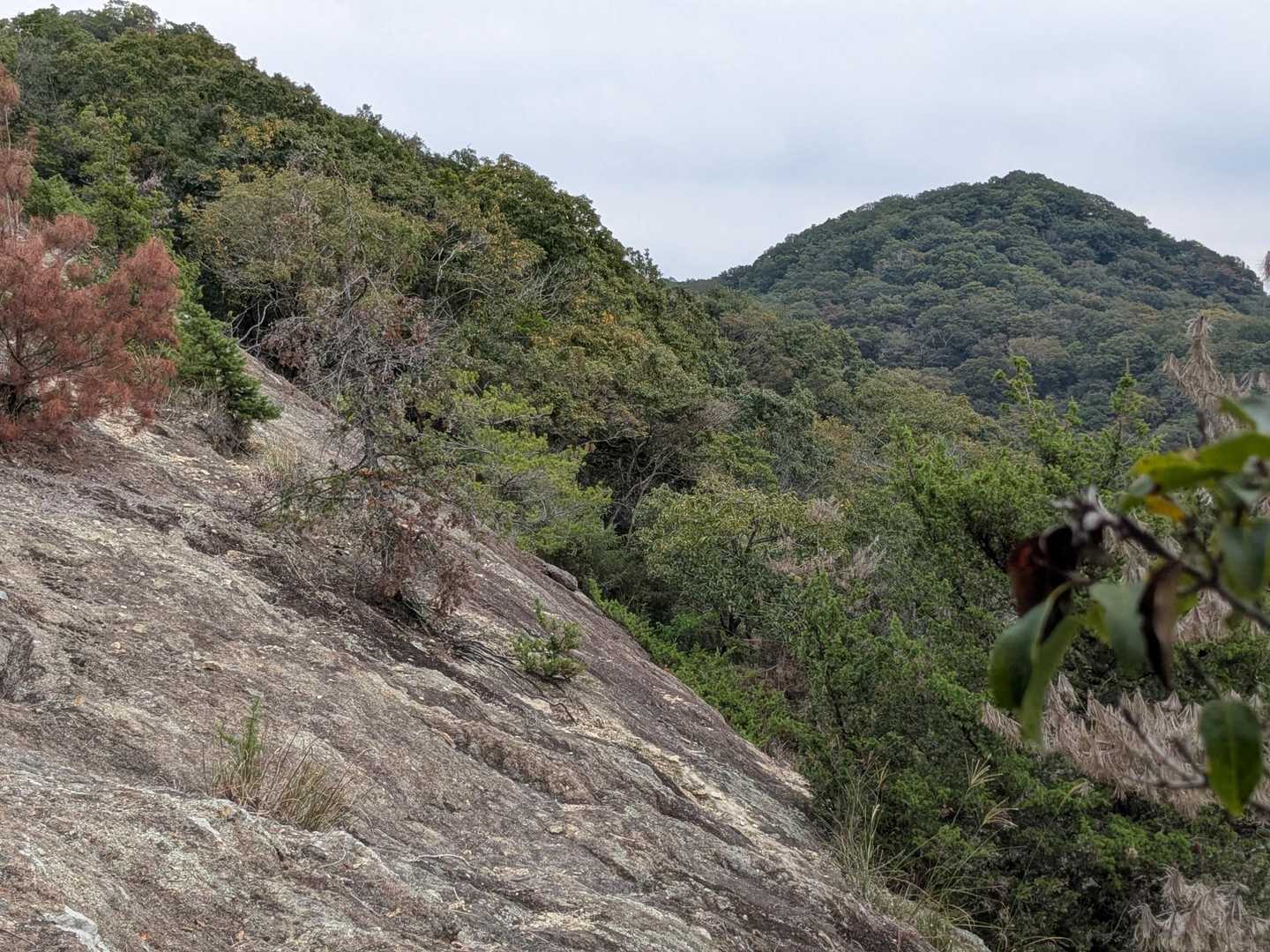 　少し紅くなってる岩肌を通り過ぎ