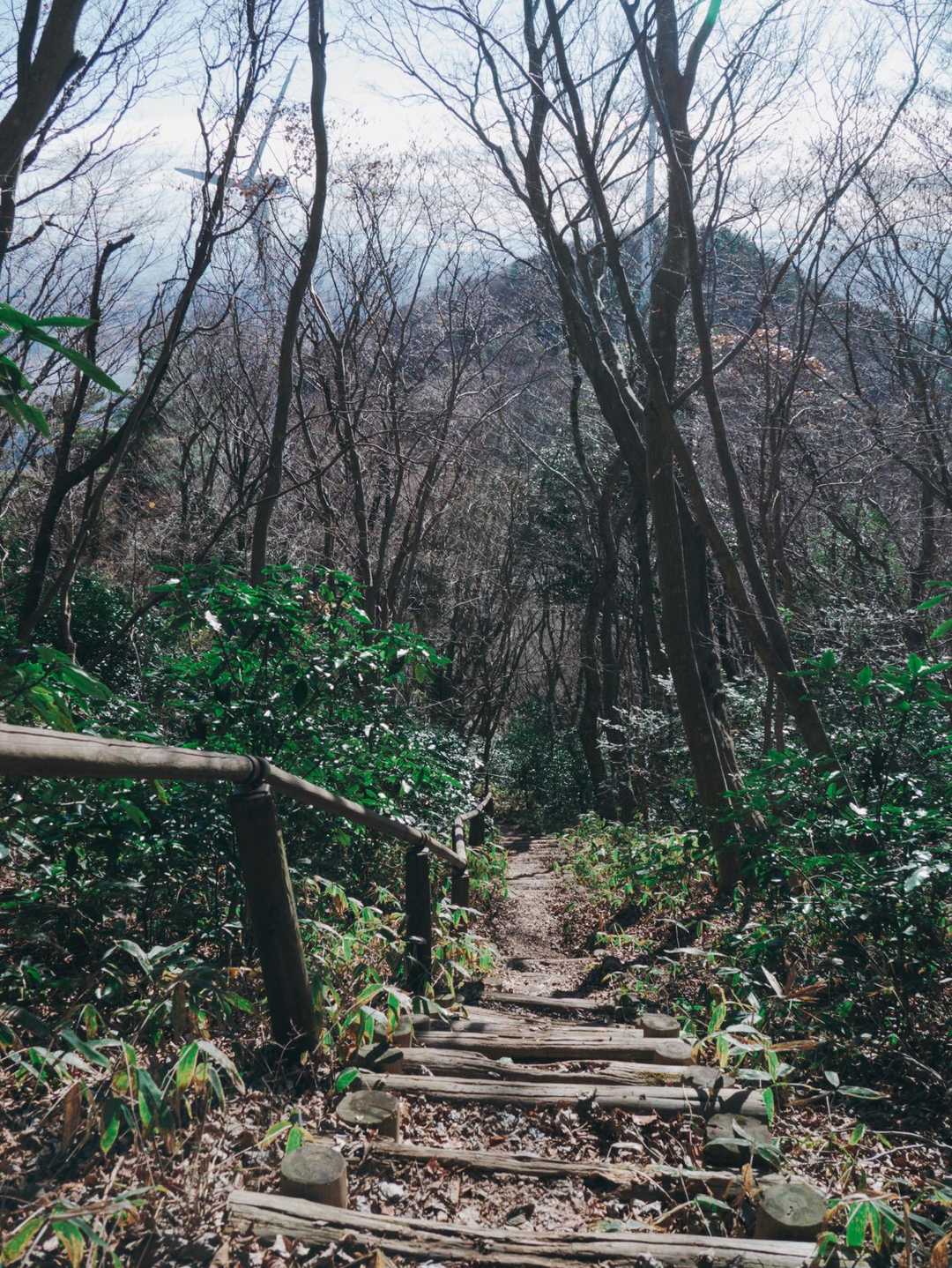 加波山-丸山-一本杉峠 周回コースの写真