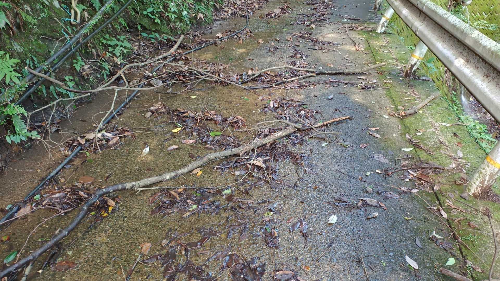 台風で落ちた枝木を片付けながら進む