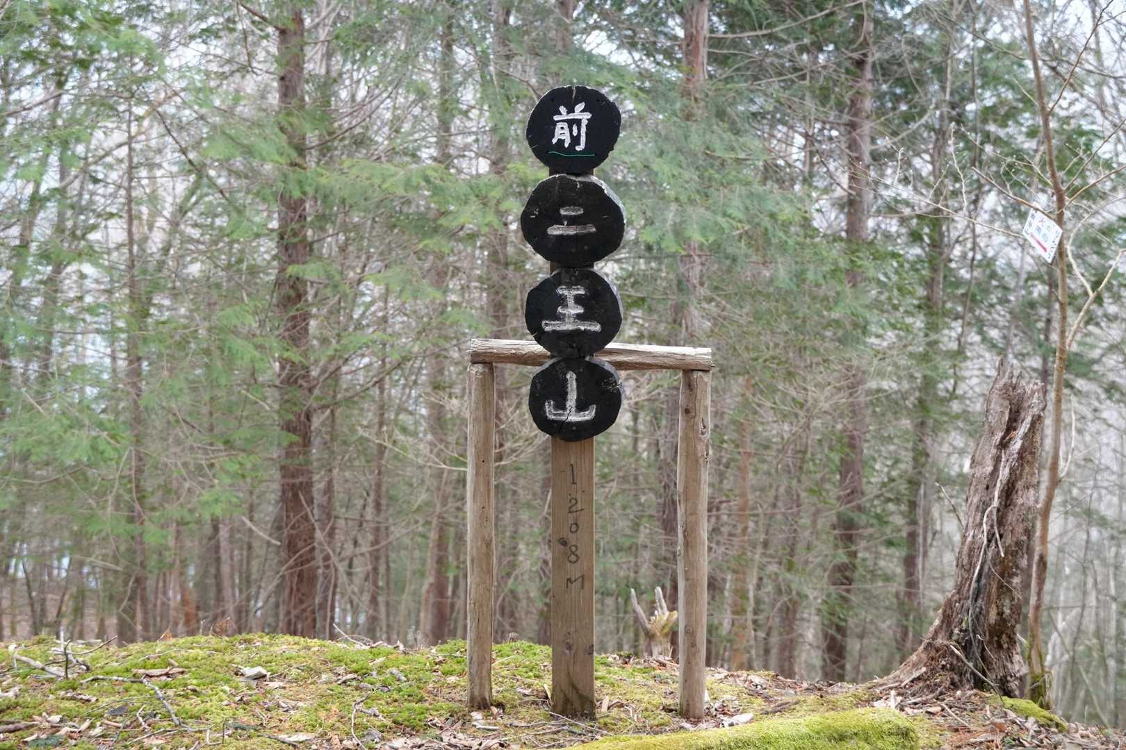 二王山 往復コースの写真
