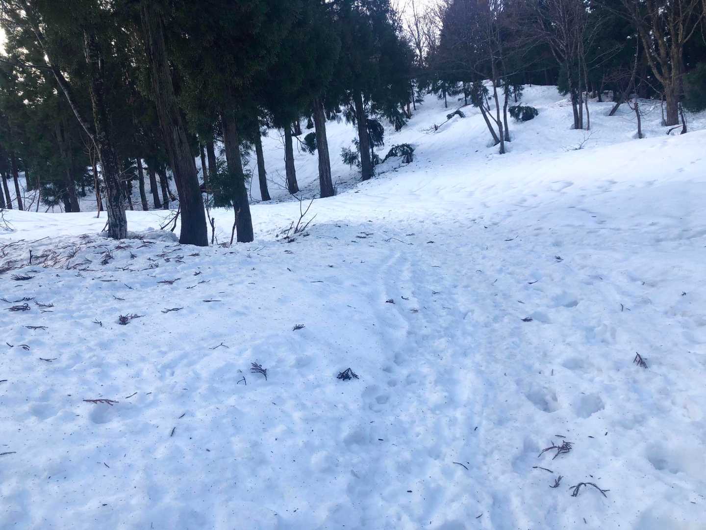 ズボズボハマる