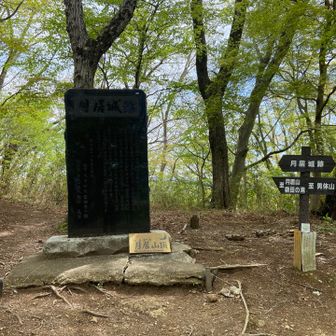 月居山山頂。城跡がありました。