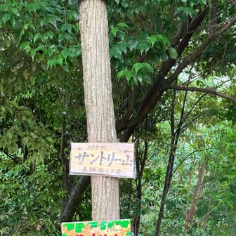 名前そのまんま