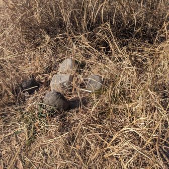 石尊山の三角点