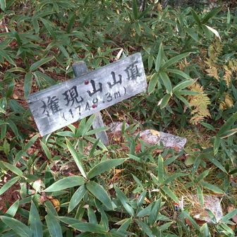 権現山到着〜あともう少し