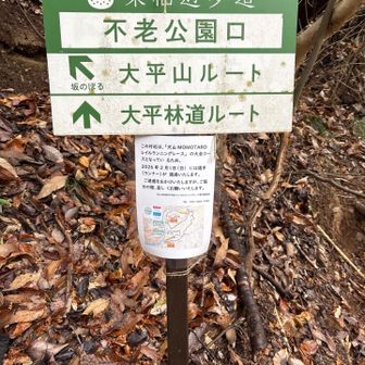 なかなかの急登の始まりです💦