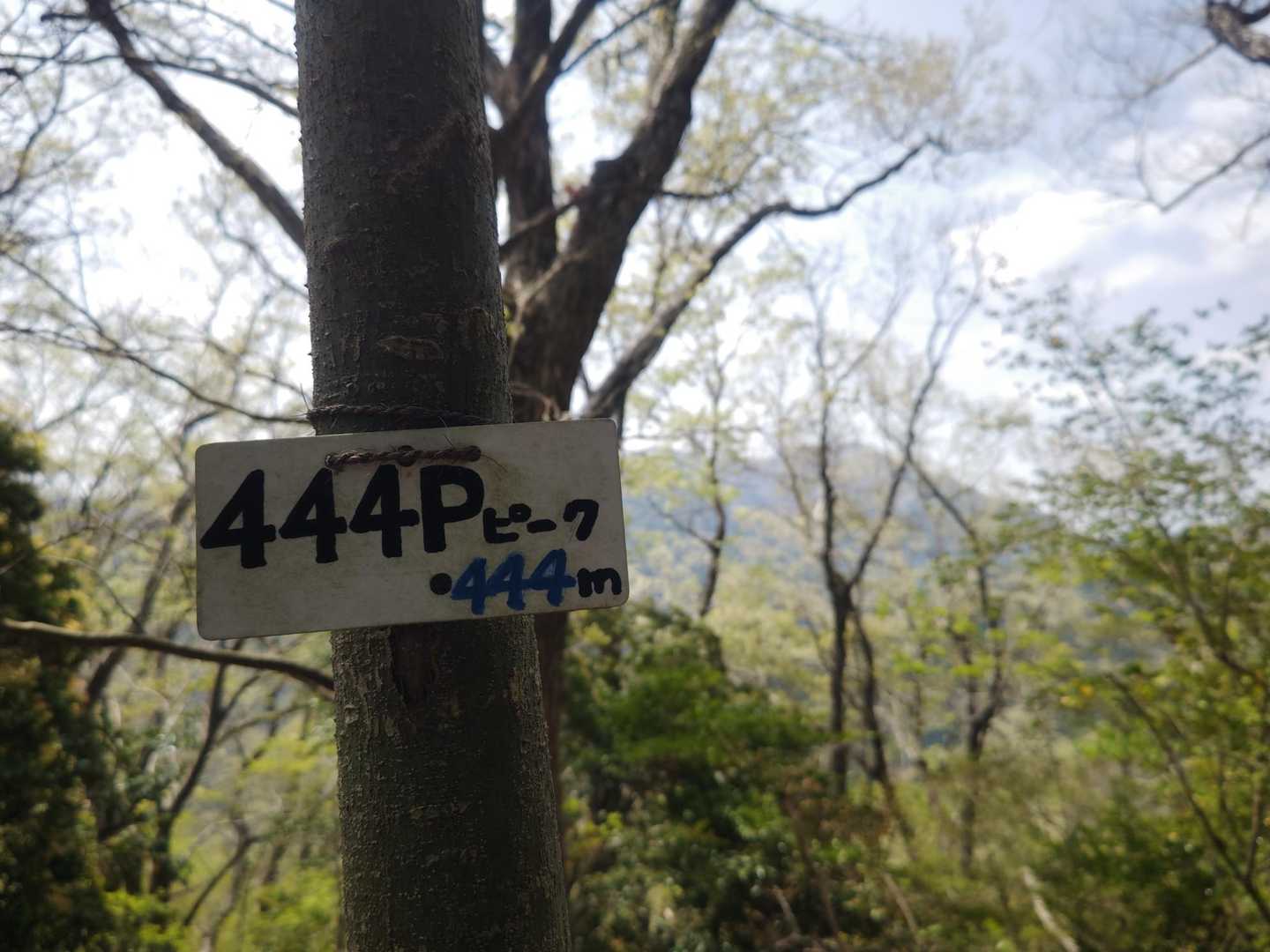 観音岳 周回コースの写真