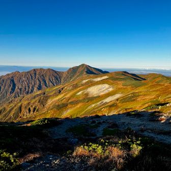 名残惜しいけど、道のりも長いので下山せねば