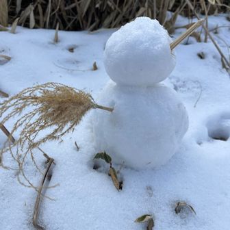 雪だるまさんいた⛄️