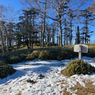 バラ谷の頭はこんな感じ👀
スライドされた方はここでテン泊されたかな？