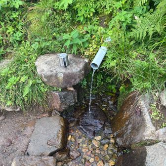 小屋の近くで水も汲めます🤩