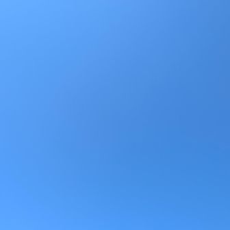 わかば