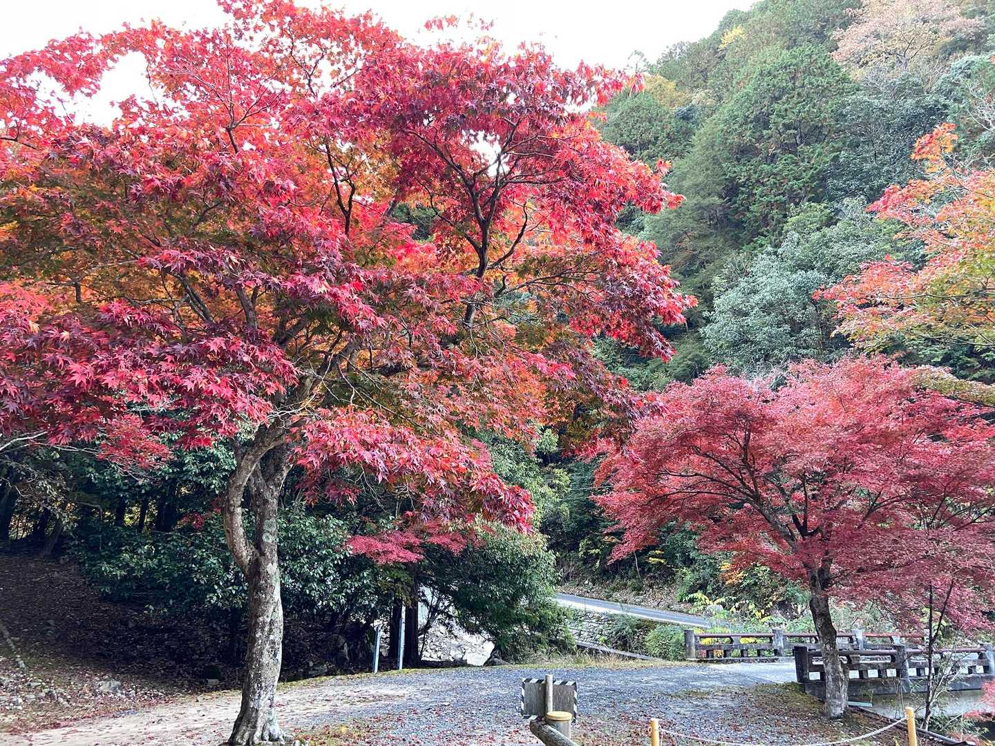 堂床山-冠山-可部峠 周回コースの写真
