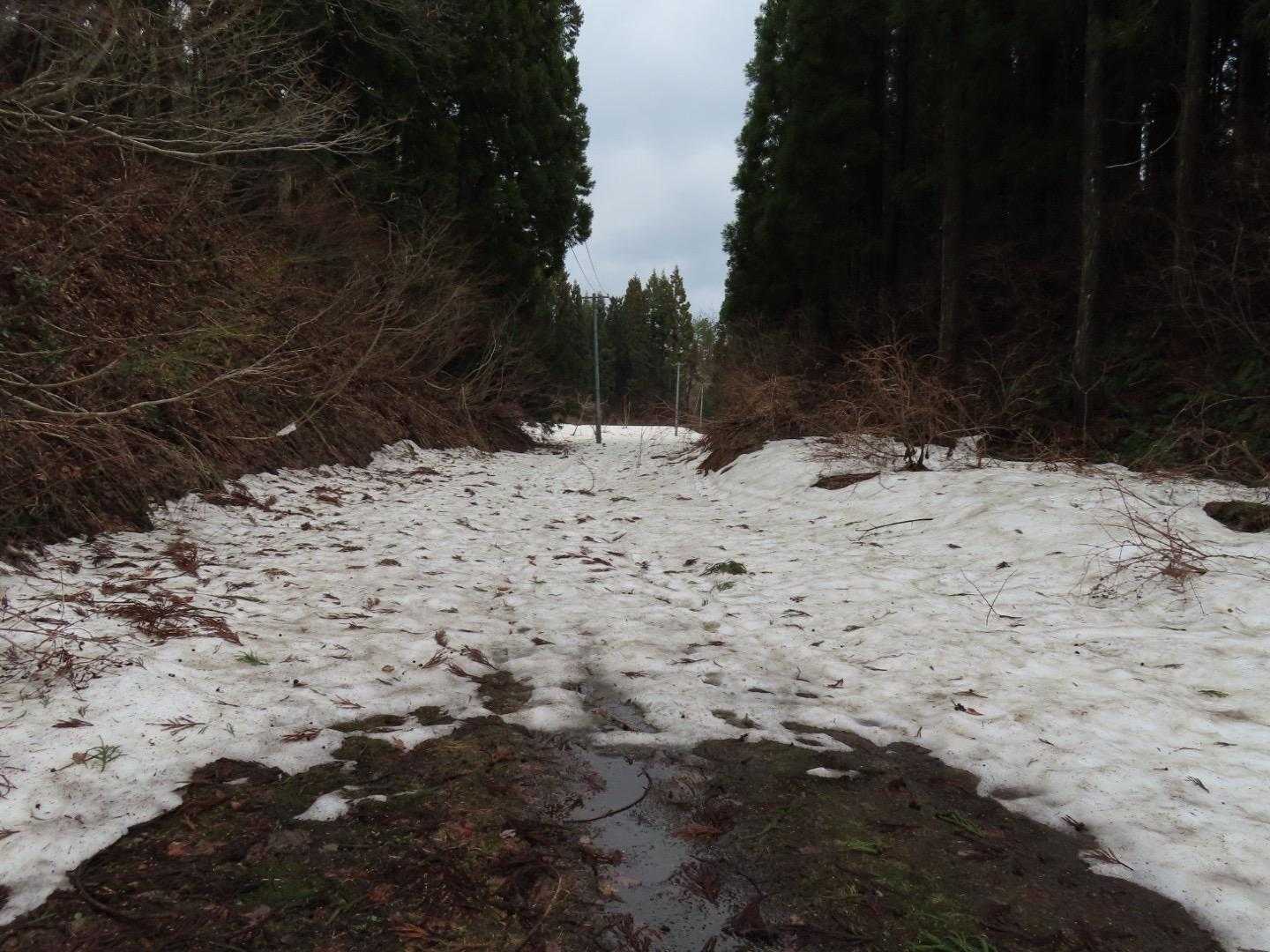 保呂羽山少年自然の家スタート
スタート直後と林道は所々まだ雪