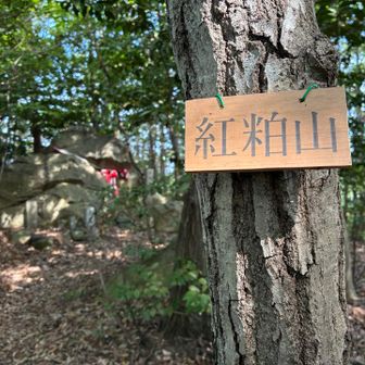 難なく到着、紅粕山💄⛰️
山頂標識、えらい綺麗やし☺️