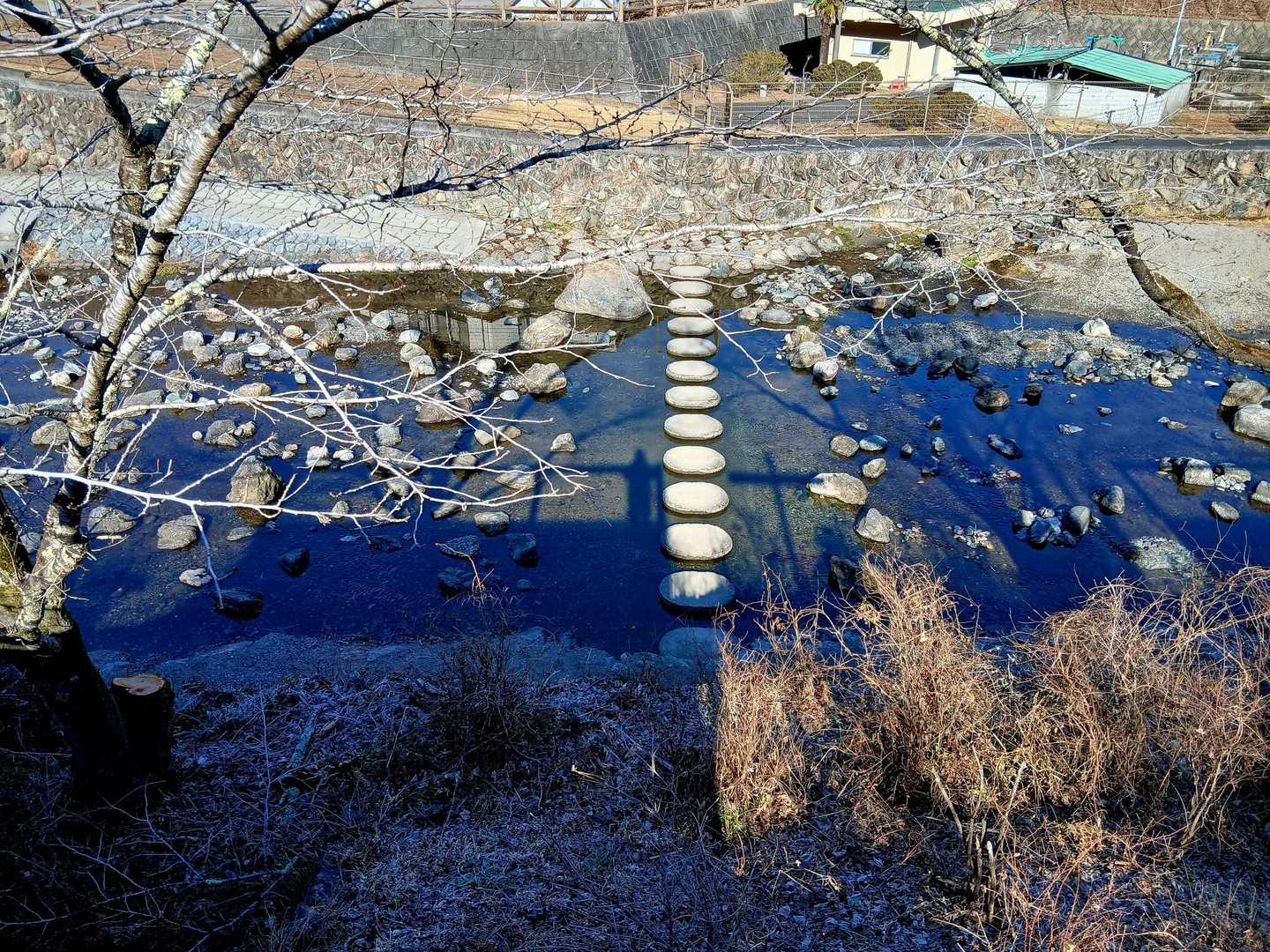 飛び石🏃‍♂️🏃‍♂️🏃‍♂️🤭