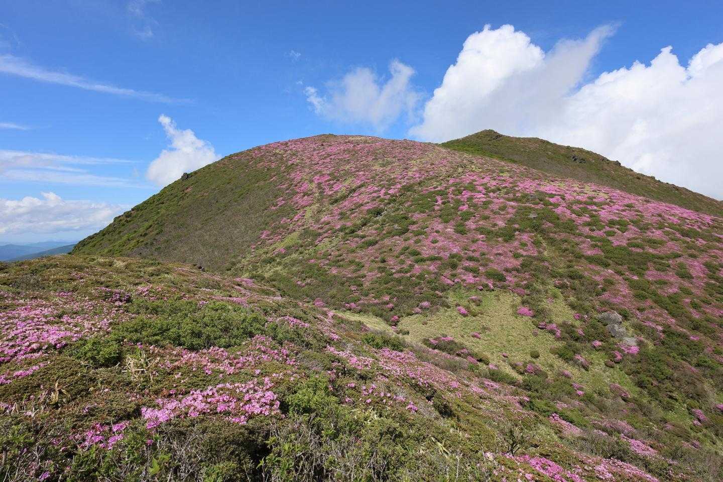 大曲登山口-諏蛾守越-三俣山 往復コースの写真