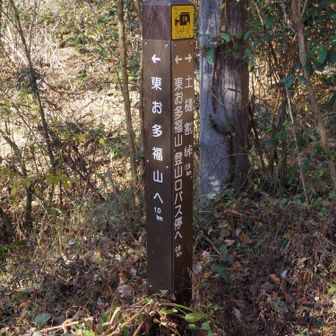 登山口です。