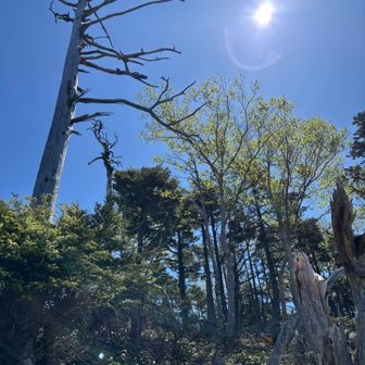 ピーカンです🌞