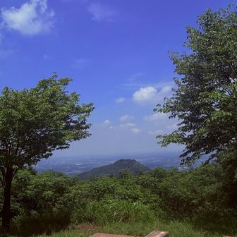 ねー  ゆーた
コレ、捨てちゃっていーの？

…カタログギフトである…

あっ、なんかの広告かと思ったわ

👩🏻‍🦰💢

5000円捨てそうな常識ない子