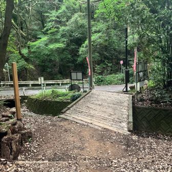 登山口に到着。
車道が金華山ドライブウェイ。
左へ。