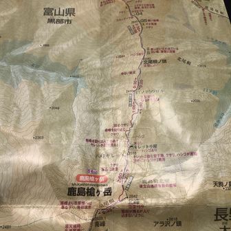 おかPは日光好き