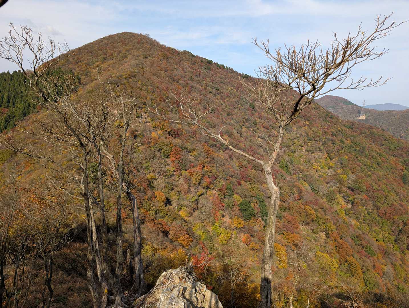 三国岳が大きく見えました✨。