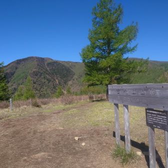 あの山まで