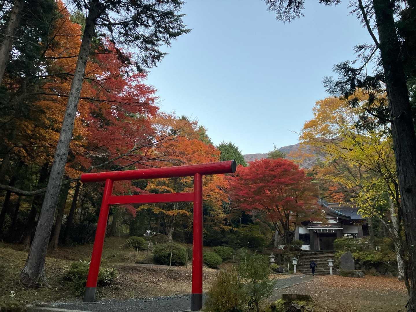 今日は公時神社から、🍁
