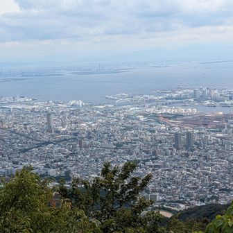 今日の掬星台から。