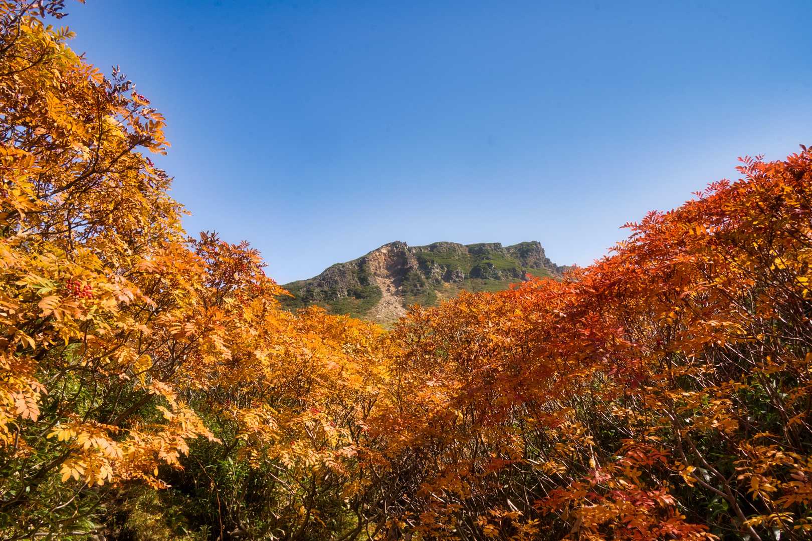 これから向かう山頂
ちょこっと顔を出します‾̠̠̠̠̠̠̠̄| ॣ•͈̀๑)