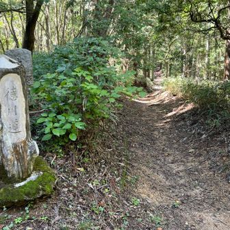 シェール道から続いて徳川道を進みマス