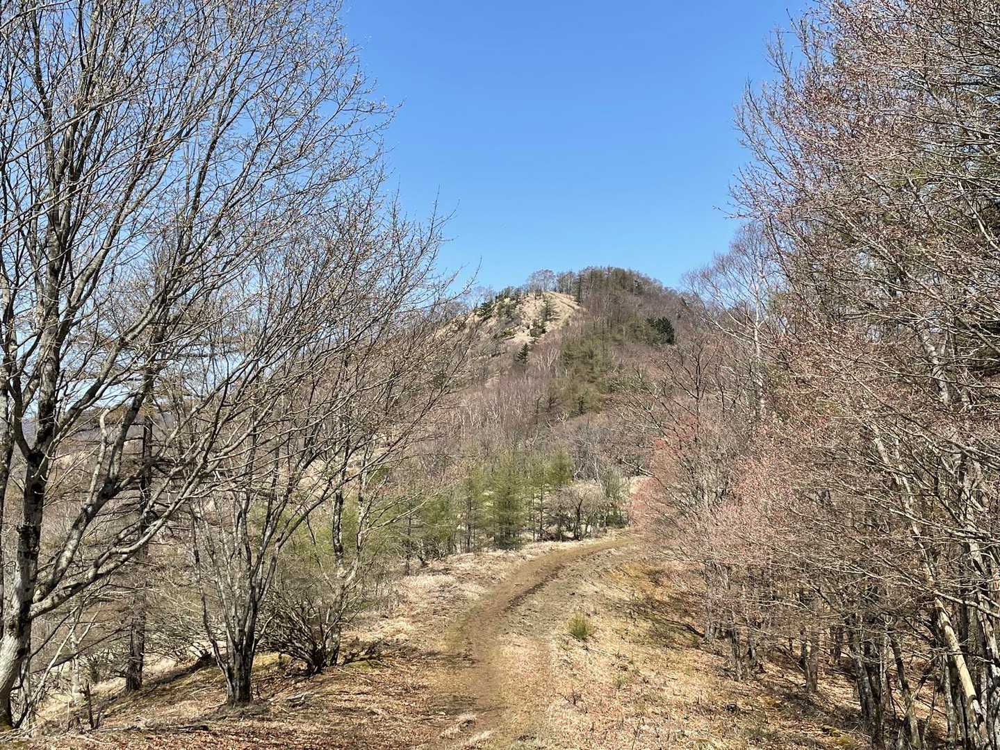 鷹ノ巣山