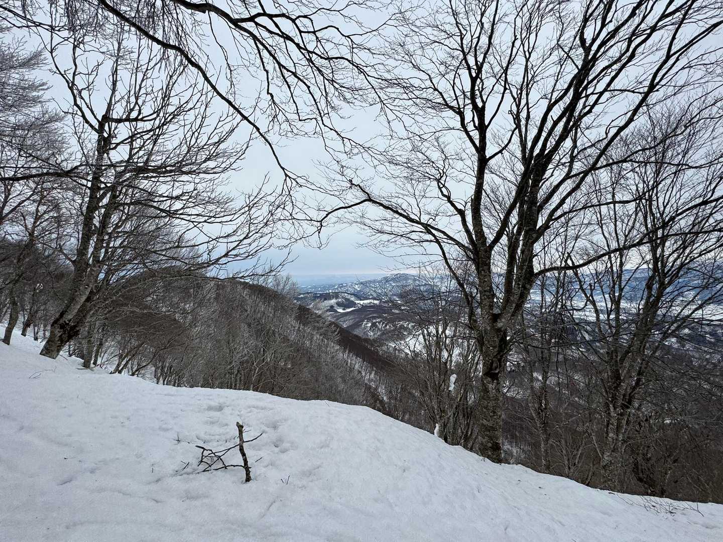 そんな木々の向こうに・・・