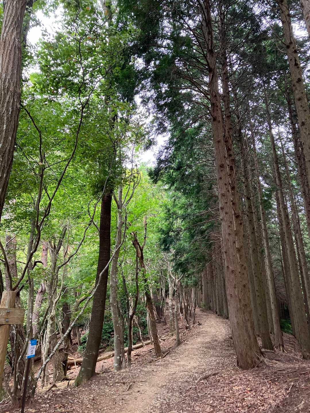 こちらも涼しい風が最高です。