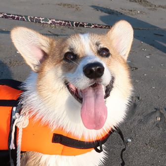 アンディーママ