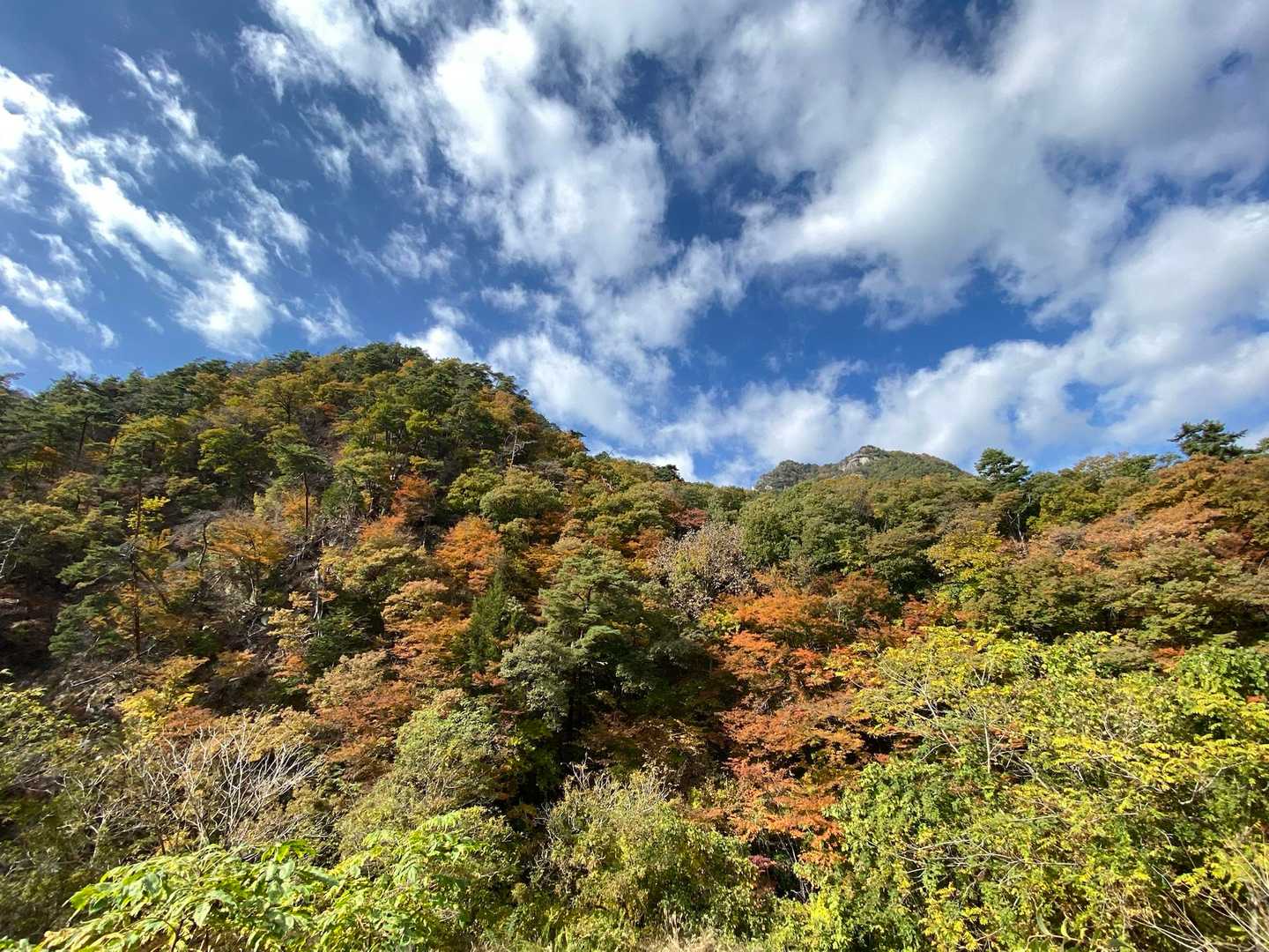 弥三郎岳・昇仙峡 | 花崗岩の白い巨石が連なる稜線と、日本五大名峡随一の渓谷美の写真