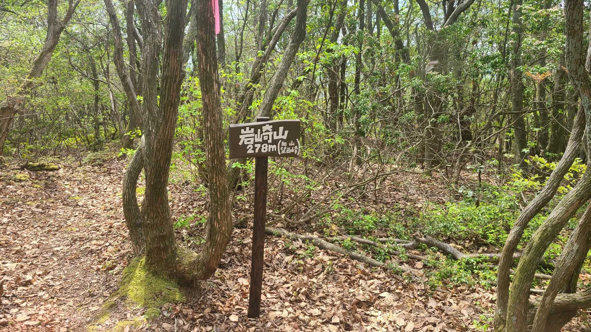 岩崎山山頂に到着