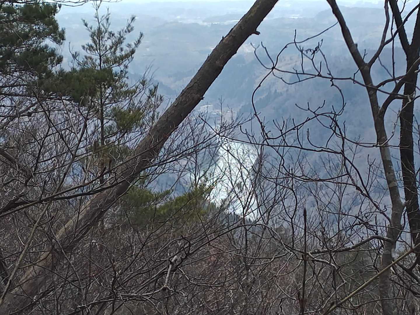 沼に見えるけど阿武隈川かもー
幅が広いでっかい川ですね
