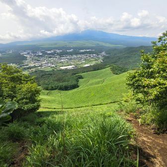 滑りやすい下り
