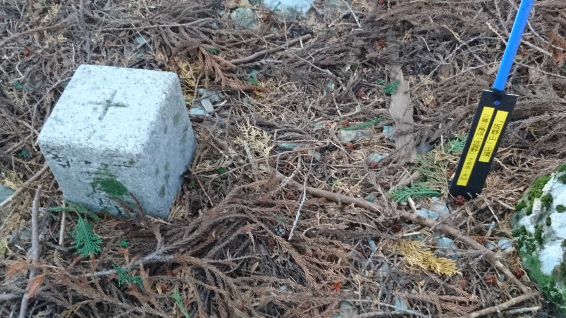 三角点も一応