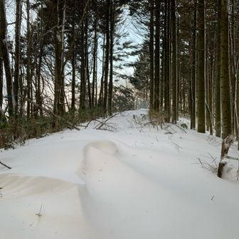 風すごかったんだろうな。