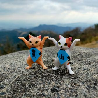 いぇ〜い!!

久し振りの貫山🤗嬉しい!