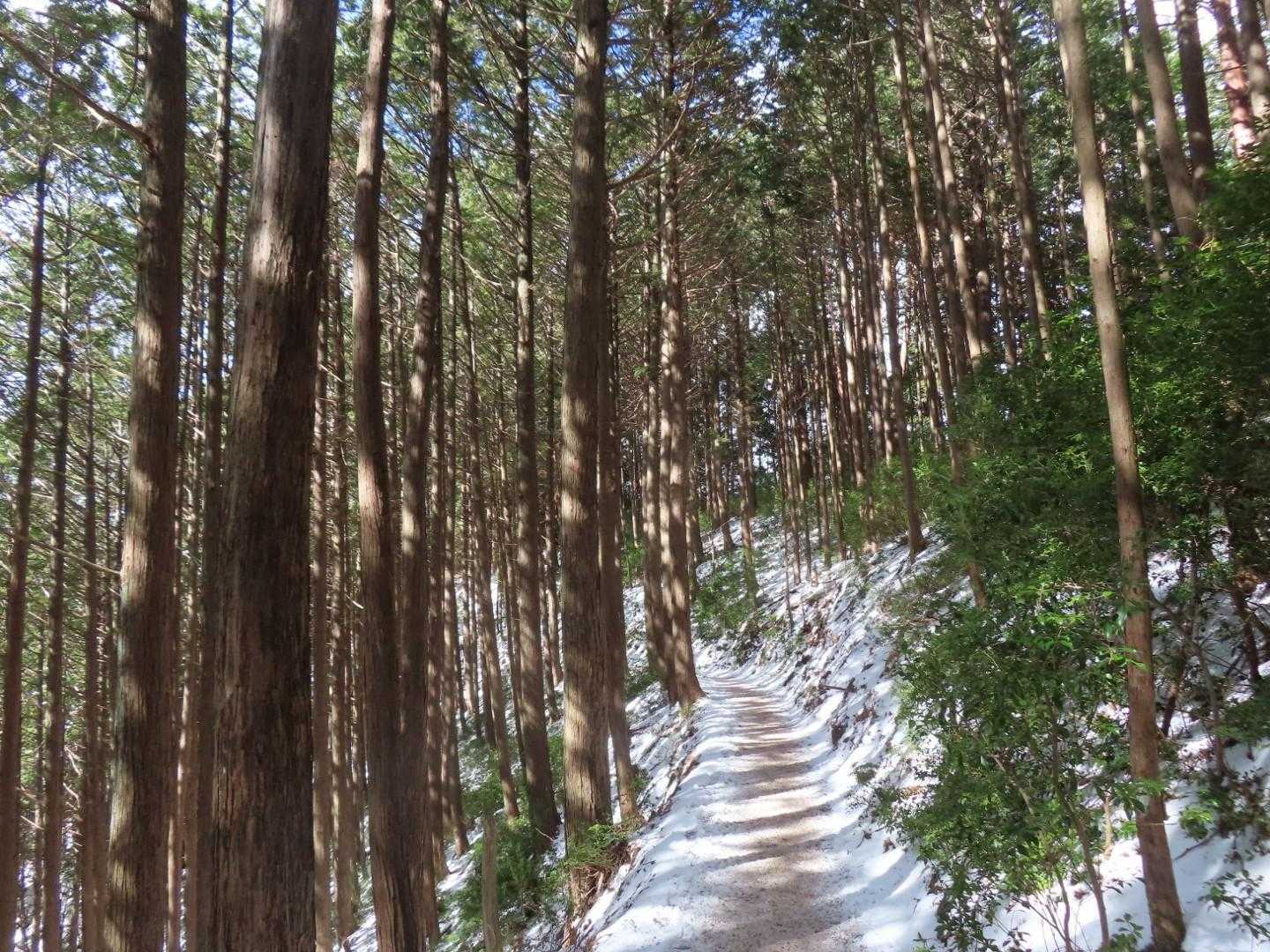 高見山 | 三峰山や金剛連山など360度の大展望。下山後はたかすみ温泉への写真