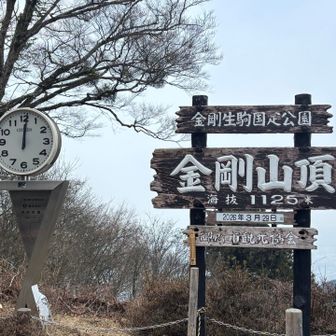 12時の山頂カメラに映り込み