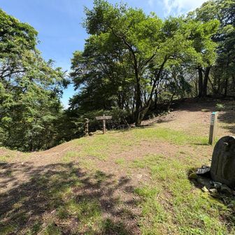 妻坂峠（標高833）通過

御嶽神社 一の鳥居へ下ります
