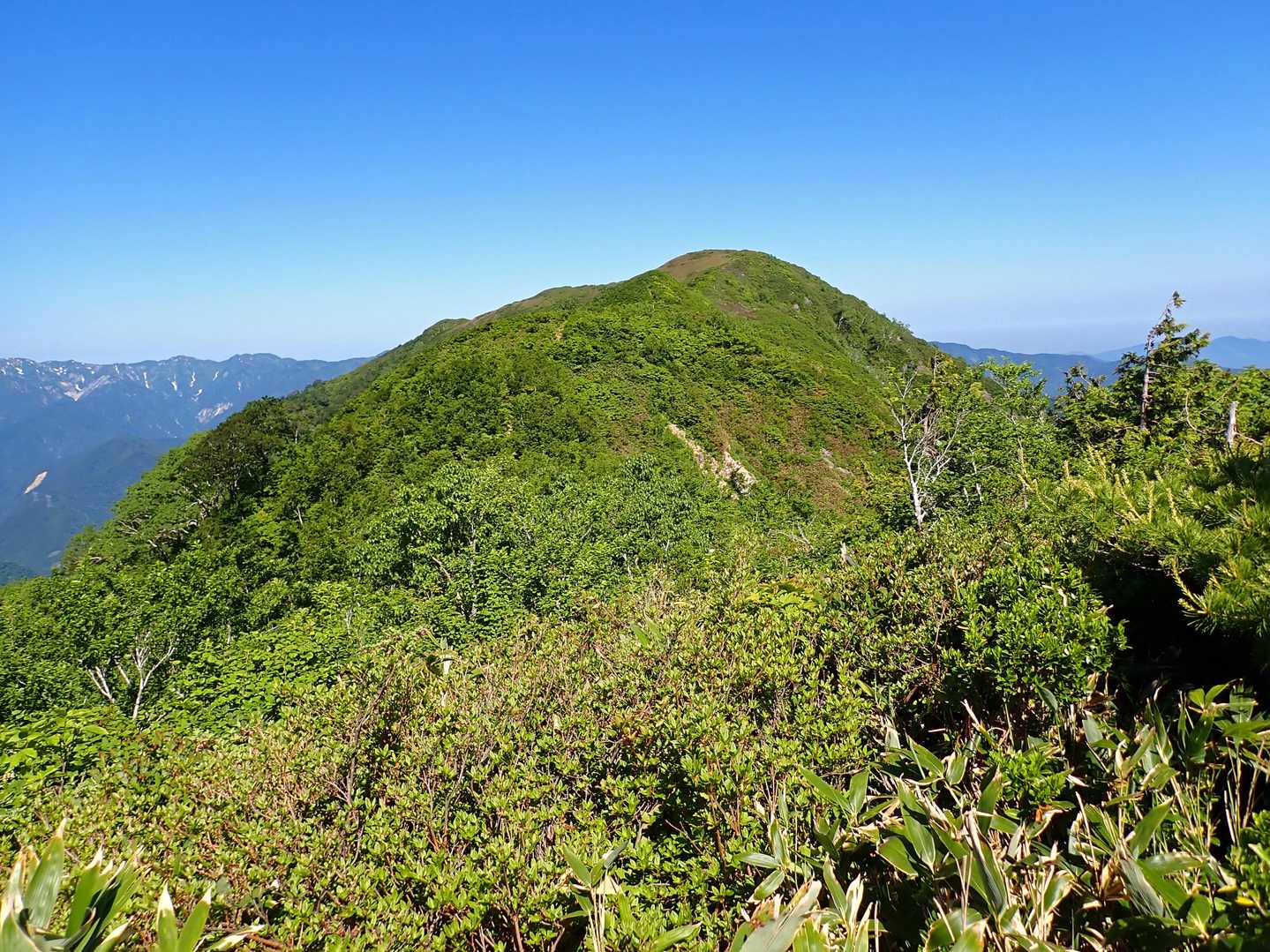 分岐から見た人形山