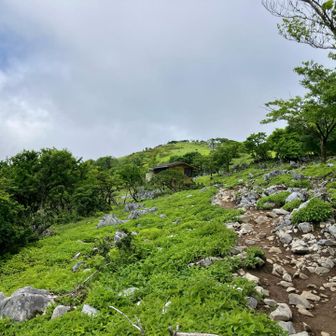 山頂見えた！