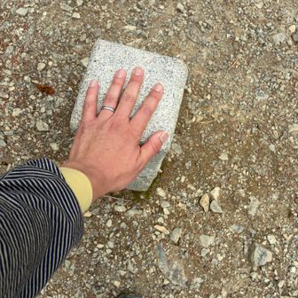 明日、山行けば？と言ってくれた妻に感謝。
本谷山。110分で塩見小屋と書いてあるので90分で、着くかなと考える。