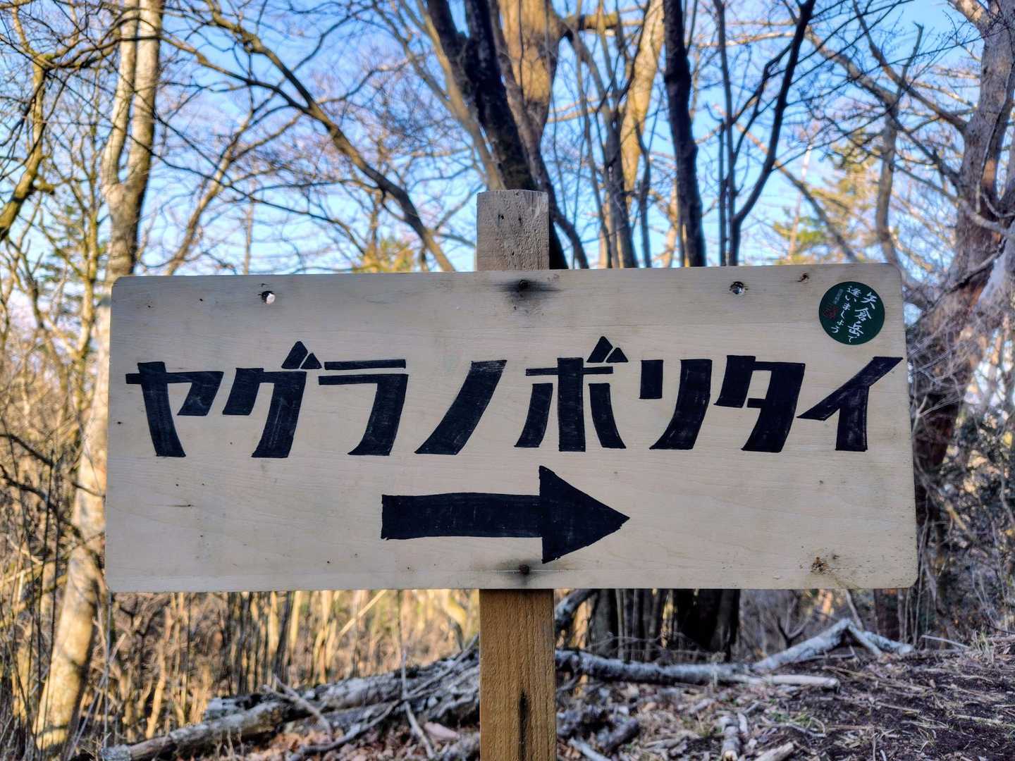 ヤグラノボリタイ？
登りたいと言う願望なのか、登り隊なのか…？🤔
いずれにしろ→の方向が山頂です